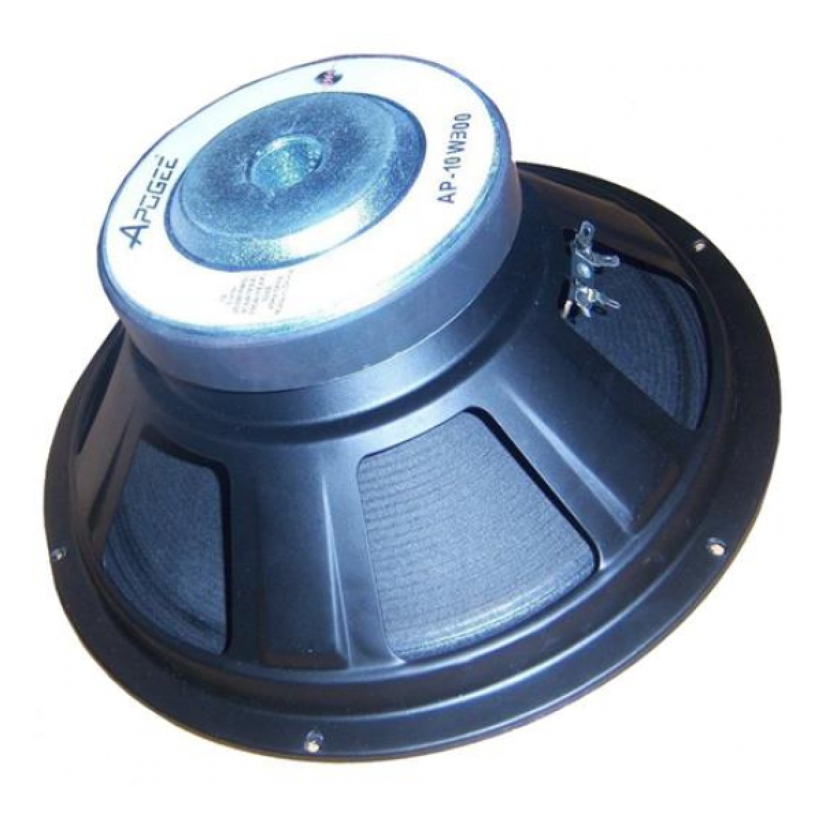 1284_4.jpg Parlante Woofer Apogee AP10 - 10 - Imagen 1