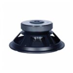 Parlante Woofer Apogee AP10 - 10 - Imagen 2