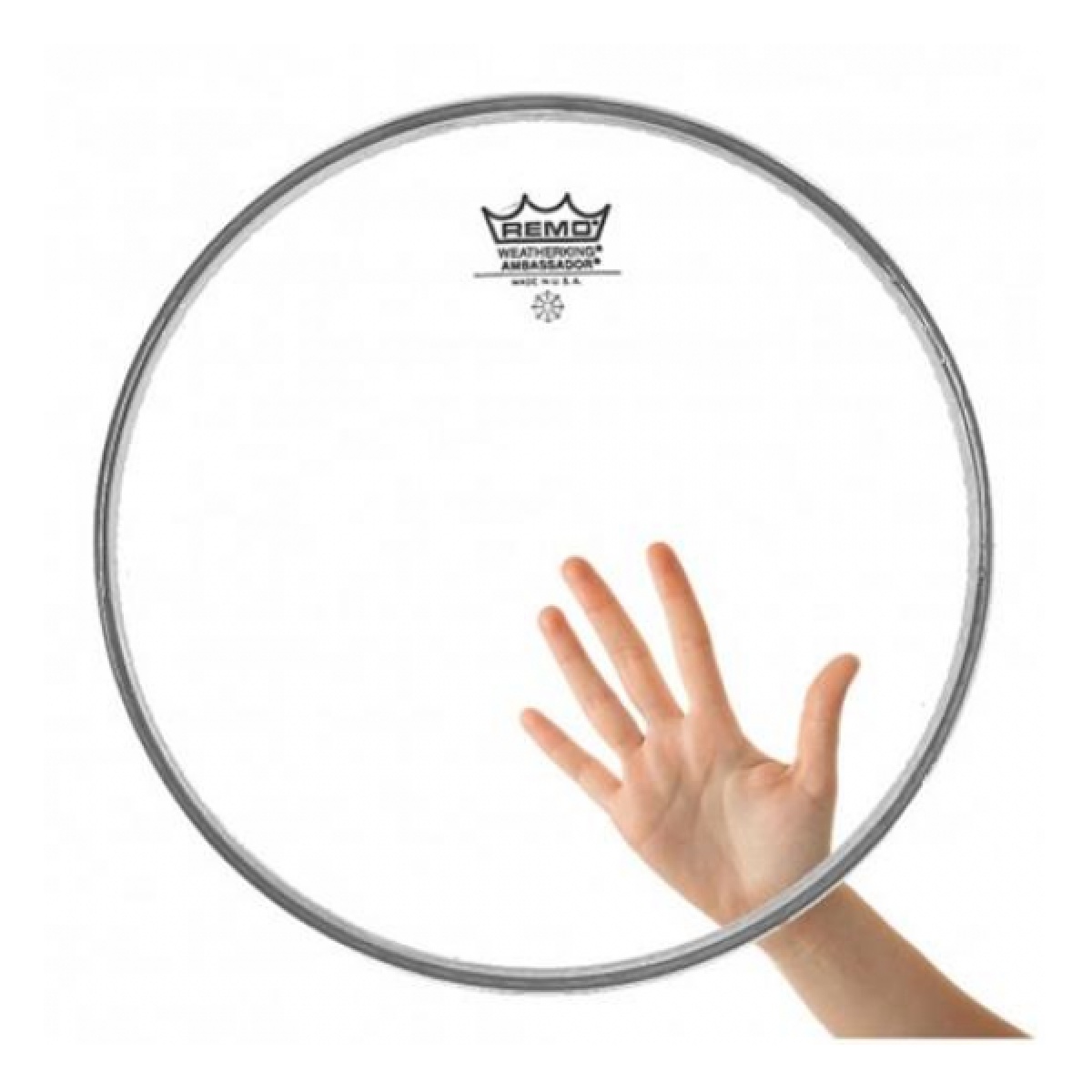 2277_4-4.jpg Ambassador Clear 18 - Imagen 1