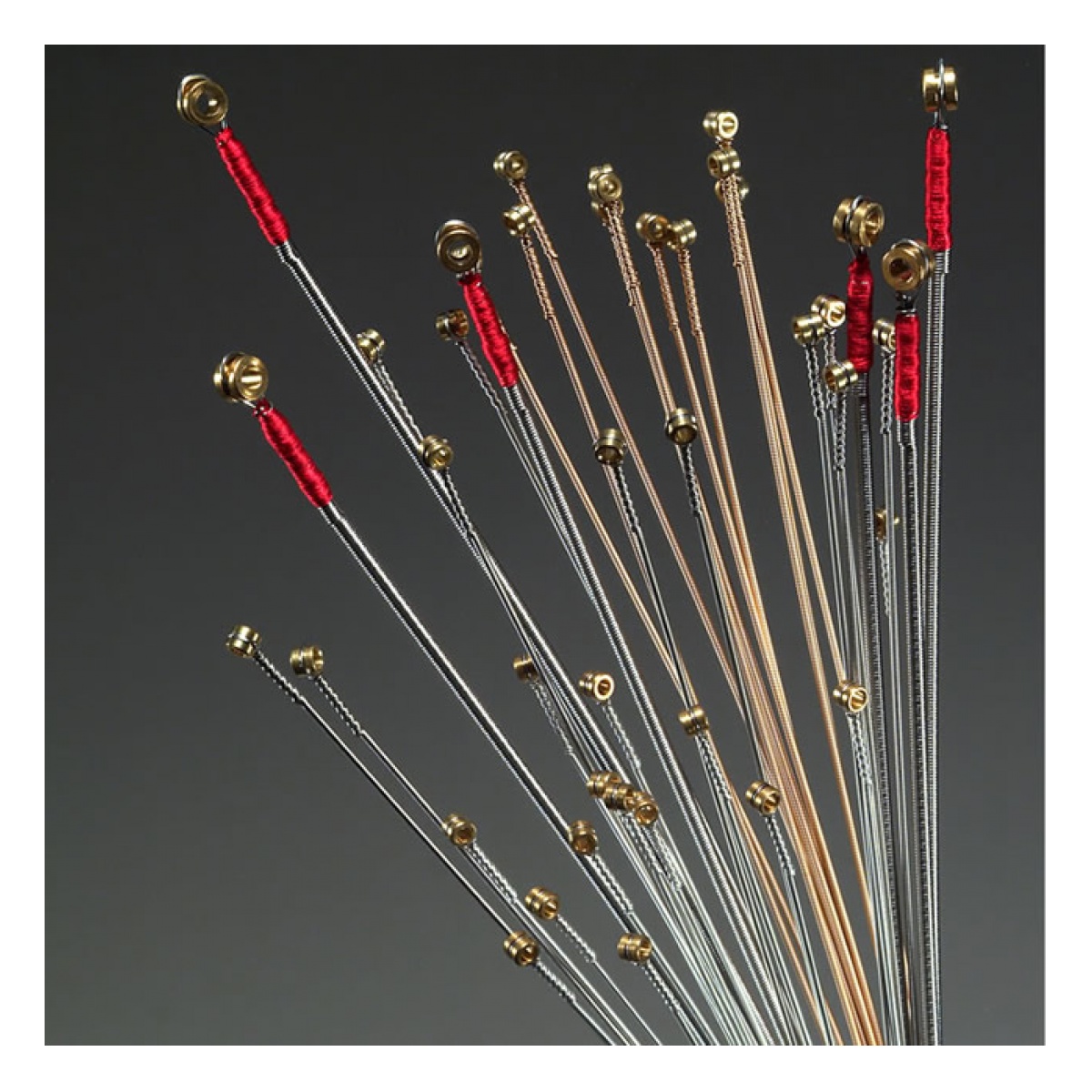 24832_4.jpg Patagonia Strings Guit-Acust Cal/.010 - Imagen 1