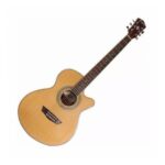 Guitarra Electroacústica Washburn Ea14N Natural Pre