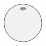 Ambassador Bordonero 13