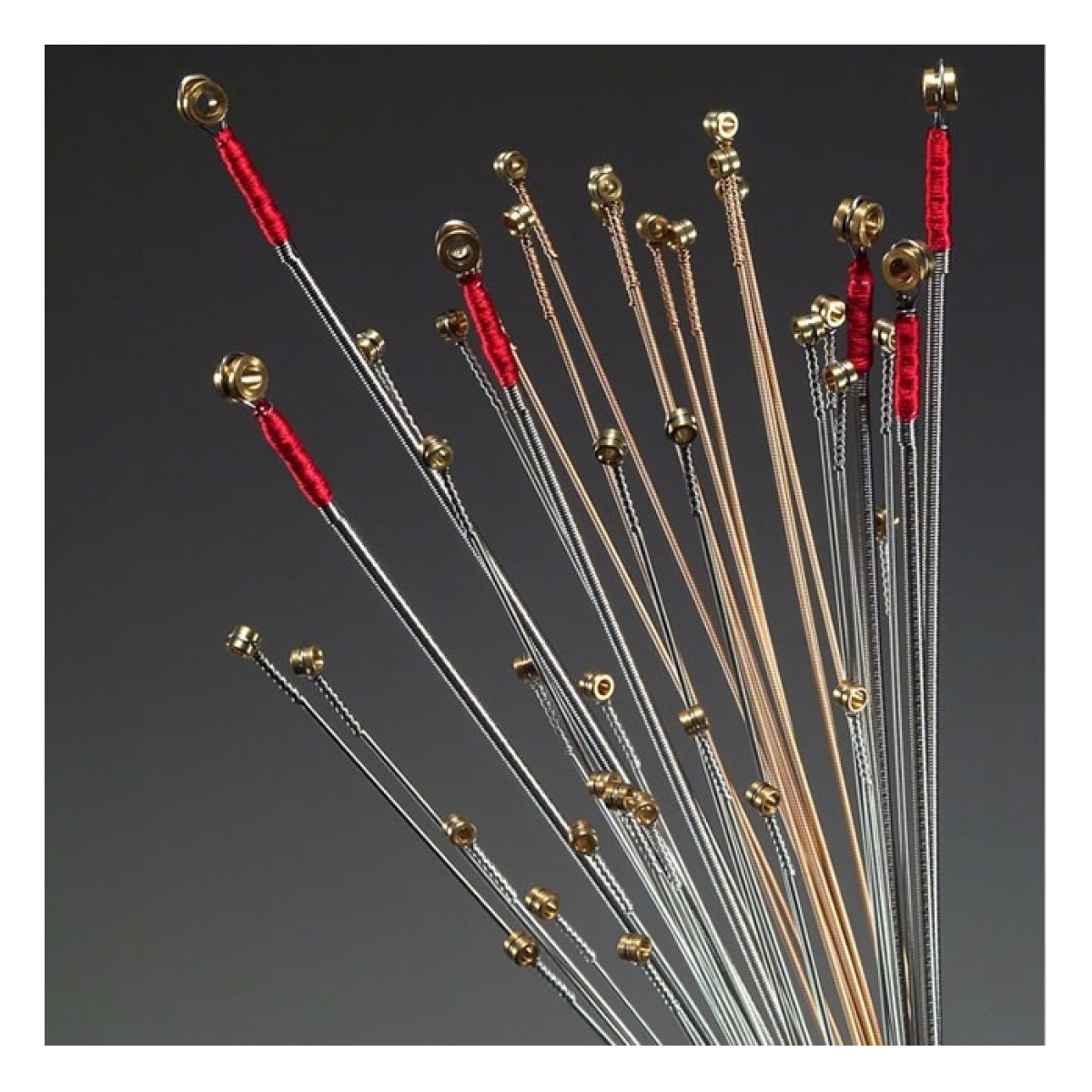 29716_4.jpg Cuerda Suelta Bajo Magma Bs100N - Imagen 1