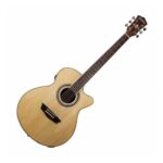 Guitarra Electroacústica Washburn Ea12N Natural
