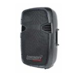 Bafle Activo Lexsen LP15A - 15 - Imagen 2