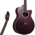 Guitarra Acústica Leonard La267Wa Con Corte Marrón