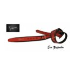 Correa Tijuana Eco Zeppelin - Imagen 4