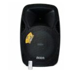 Bafle Activo Moon STONE15AU - 15