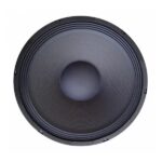 Parlante Subwoofer Apogee AP21 - 21