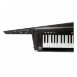 Sintetizador Colgante 37 Teclas Korg Rk-100s 2 Negro - Imagen 3