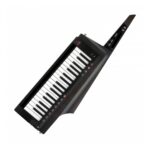 Sintetizador Colgante 37 Teclas Korg Rk-100s 2 Negro