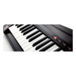 Sintetizador Colgante 37 Teclas Korg Rk-100s 2 Negro - Imagen 5