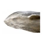 Platillo Zildjian FxrcLG Fx Raw Crash Large Bell 20- 23 Cuo - Imagen 4