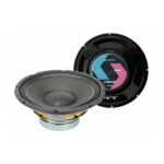 Parlante Woofer Tecshow 10W120 - 10