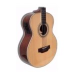 Bajo Electro Acustico Leonard 4c Lb429 - Imagen 2