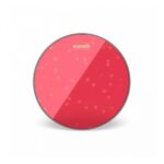 PARCHE EVANS 16 - Imagen 2