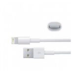 CABLE LIGHTING A USB 2 MTS - Imagen 2