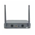 Micrófono Inalámbrico Lexsen 2H2 - Imagen 2