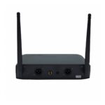 Micrófono Inalámbrico Lexsen 2H300 - Imagen 2