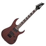 Guitarra Eléctrica Ibanez GRG121DXWF, Walnut Flat