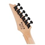 Guitarra Eléctrica Ibanez GRG131DXBF, Black Flat - Imagen 6
