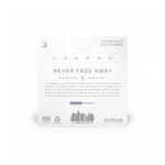 Encordado Xt Acústica Phosphor Bronce 80/20 011 - Imagen 3