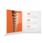 Encordado Xt Acustic Phosphor Bronce 80/20 010 - Imagen 4