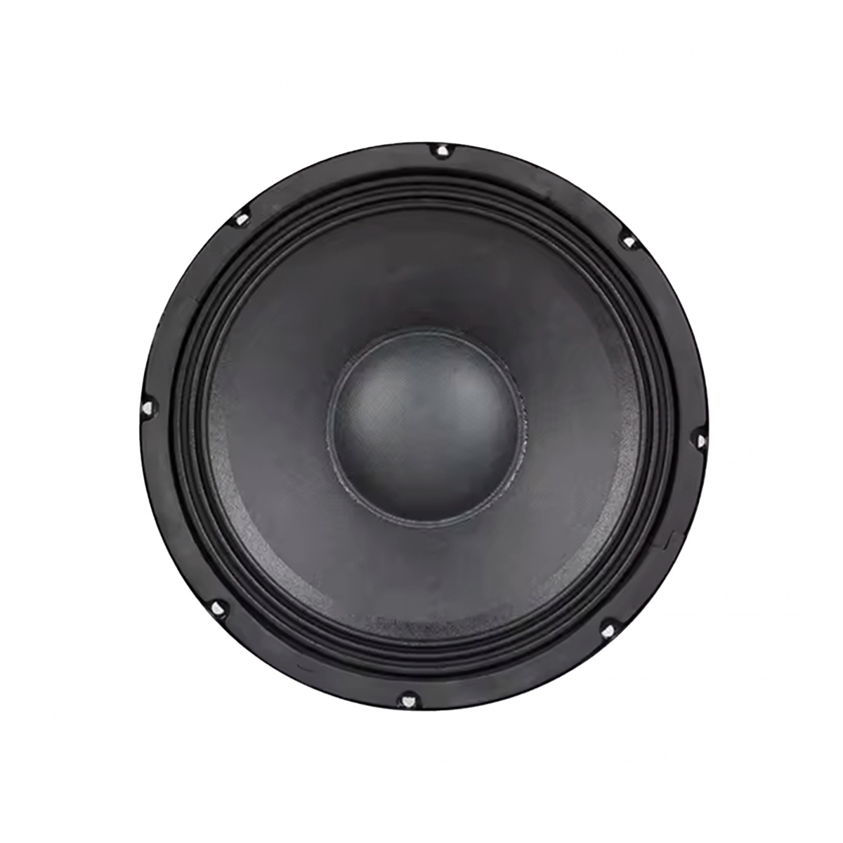 54262_4.jpg Parlante Woofer XP Audio RA-10 - 10 - Imagen 1