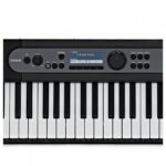 Teclado Casio LK-S450 - Imagen 5