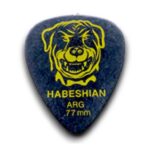 Pua Habeshian Rotweiler Medium