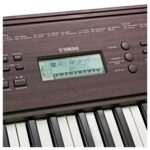 Teclado Yamaha PSRE360DW Sensitivo 61 Teclas 5 Octavas - Imagen 4