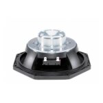 Parlante Woofer B&C 8NDL51 - 8 - Imagen 2