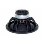 Parlante Woofer Coaxial B&C 12CXN76 - 12 - Imagen 2