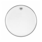 Parche Ambassador Bass Clear 22