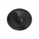 Parlante Woofer XP Audio RF10 - 10 - Imagen 2