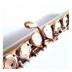 Flauta Traversa C Lincoln LWFL1201S Llaves Cerradas Con Estuche - Imagen 3