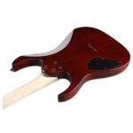 Guitarra Eléctrica Ibanez GRGR221AQB Aqua Burst - Imagen 3