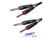 Cable 2 Plug Macho Mono a 2 Plug Macho Mono de 2 Metros Roxtone SACC100L2