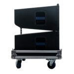 Módulos Line Array Activos DFX Sound Line Three Activo - 2x10" 1000W RMS - Imagen 2