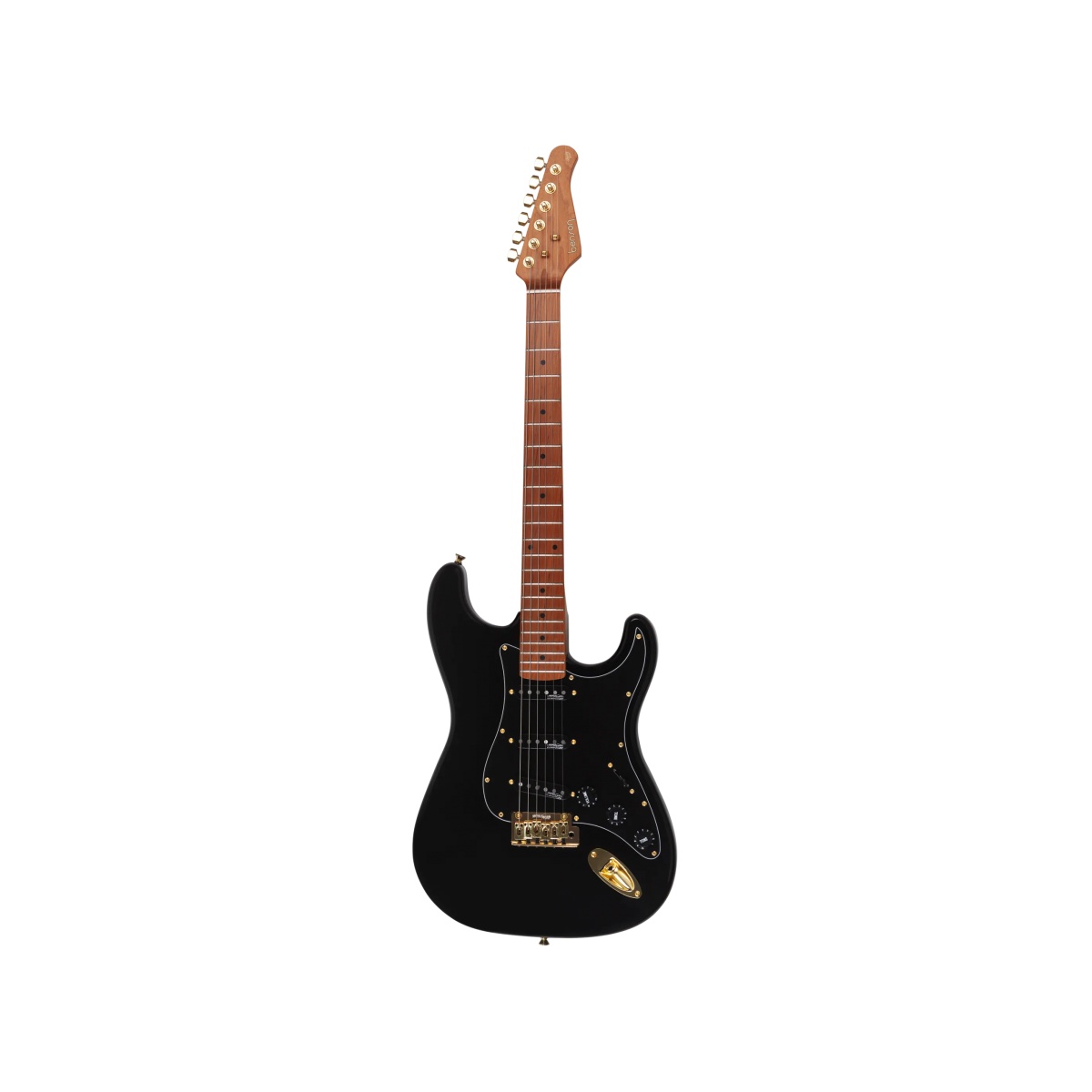 66649_4.jpg Guitarra Electroacústica Benson HD 901 BK BK GOLD - Imagen 1